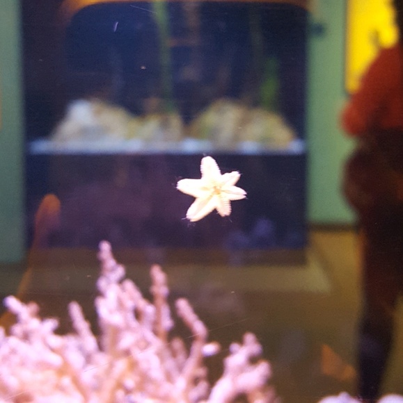 Meet your Posher, Daniela - Picture 1 of 1